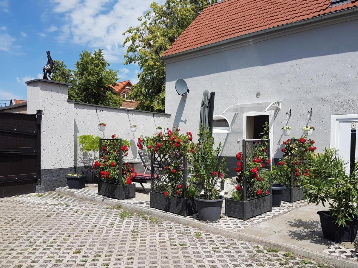 Pferdepension Jaeger Markranstädt Kültér fotó